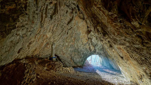 mojtinska